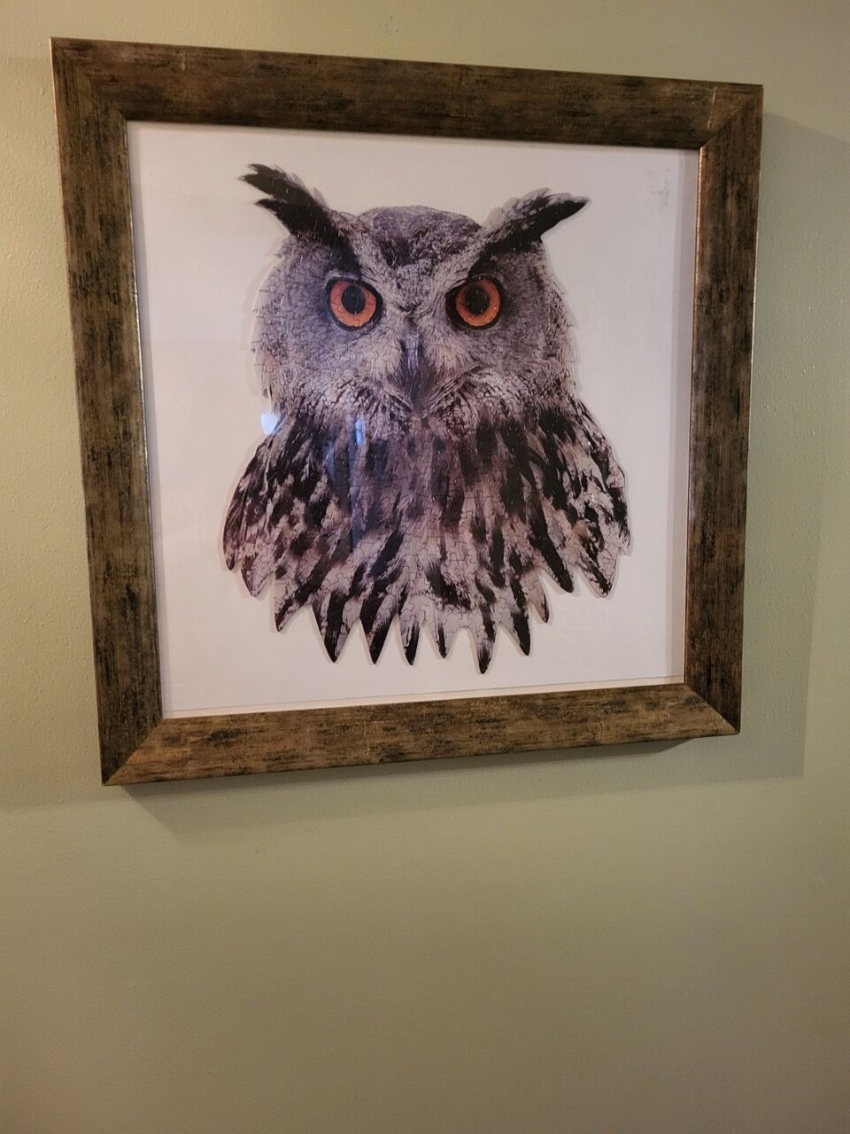 Meals With Marge owl image